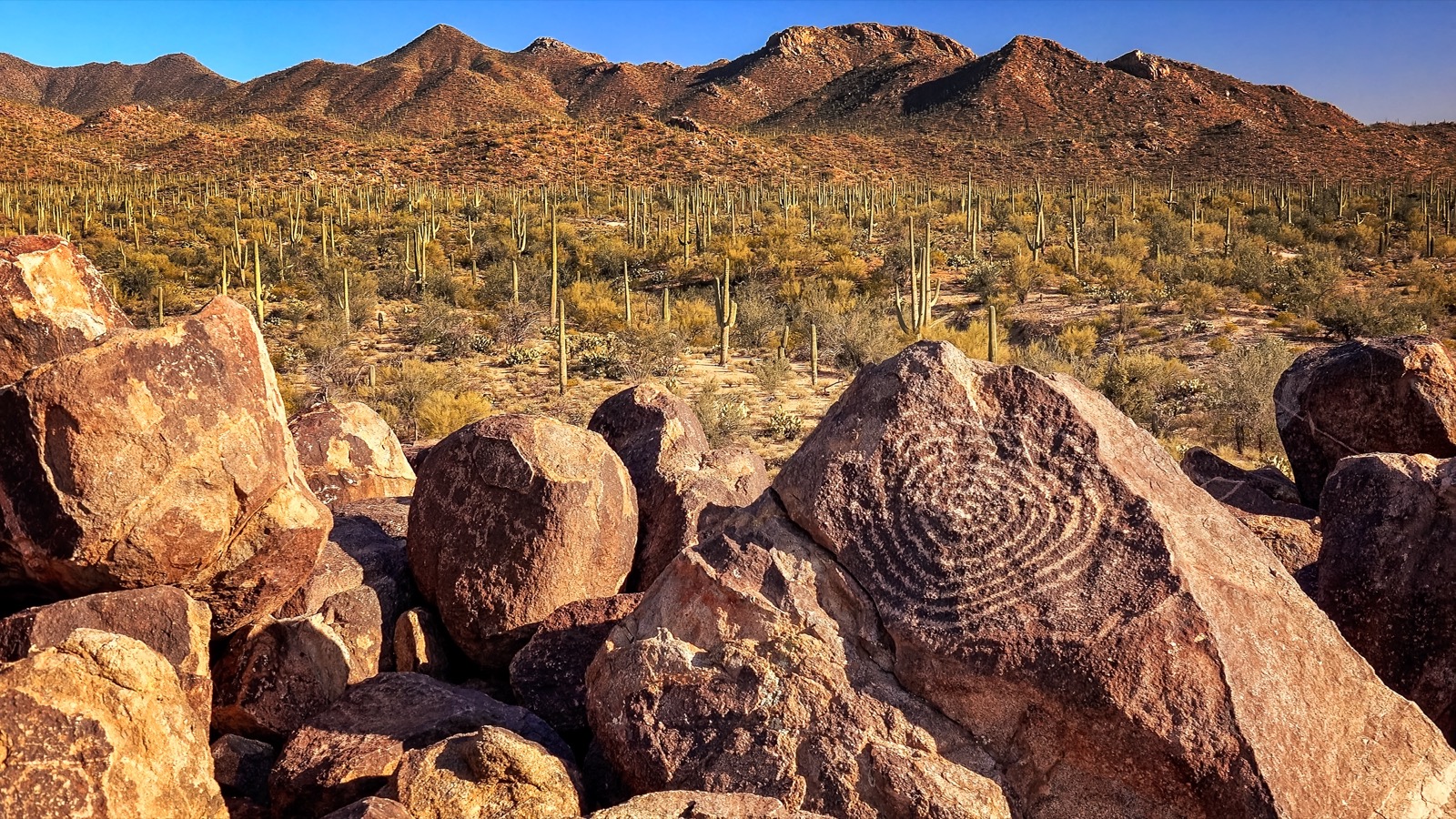 Signal Hill at Saguaro National Park with petroglyphs